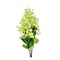 TCT Crafts Artificial 29" Seeded PeeGee Hydrangea Stem - Craft and Home Decor Supply - Green/White - Greenery for Arrangements-5670-W